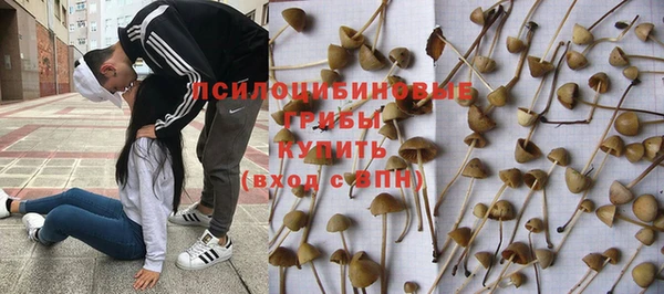mdma Дмитровск