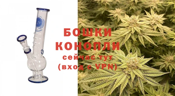 ГАЛЛЮЦИНОГЕННЫЕ ГРИБЫ Дмитров